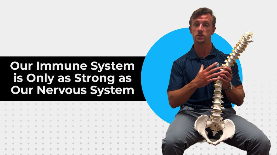 Our Immune System is Only as Strong as Our Nervous System | Chiropractor in Boulder, CO