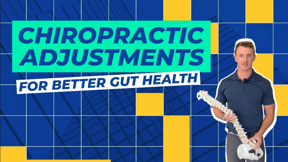 Chiropractic Adjustments For Better Gut Health | Chiropractor for Digestion in Boulder, CO