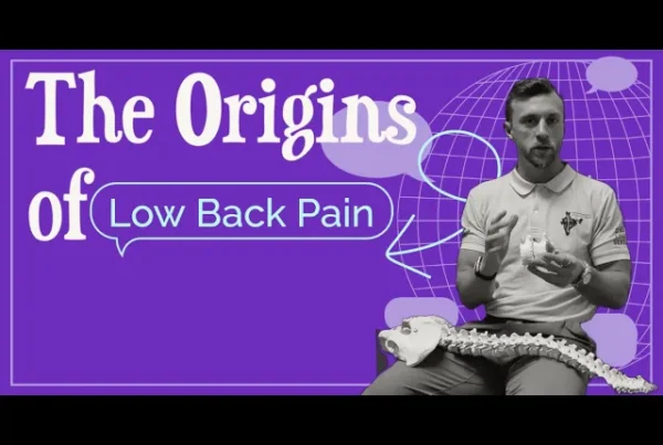 Origins of Low Back Pain chiropractor In Boulder, CO