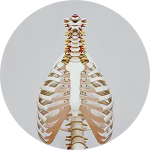 Spinal Correction Services chiropractor Boulder CO